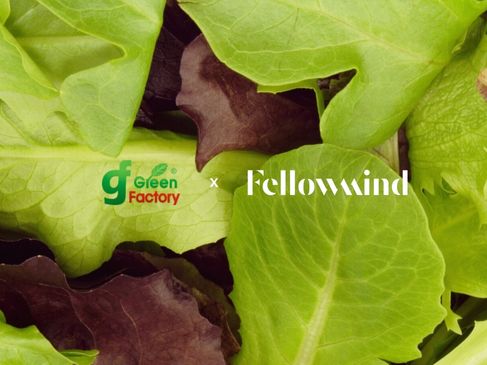 Green Factory digitizes it operations with Fellowmind