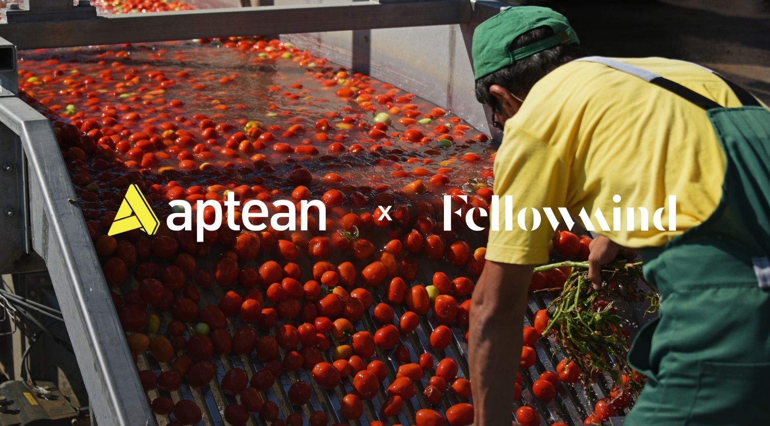 Fellowmind poszerza swoją ofertę dla branży Food & Beverage poprzez nowe partnerstwo z Aptean_hero.jpg